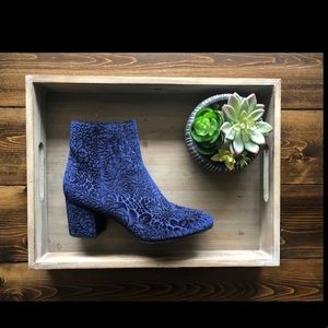 Eva & Zoe Velvet Navy Zip- Up Bootie